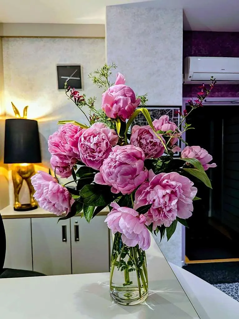 Hotel Arverna Vichy - Clt'Hotel